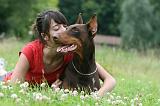 ENFANT ET CHIEN 442